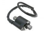 Induk�n� c�vka 1 pin, v�etn� bodky sv��ky